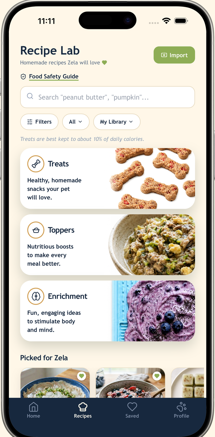 WellWhisker Recipe Lab showing enrichment recipes for dogs